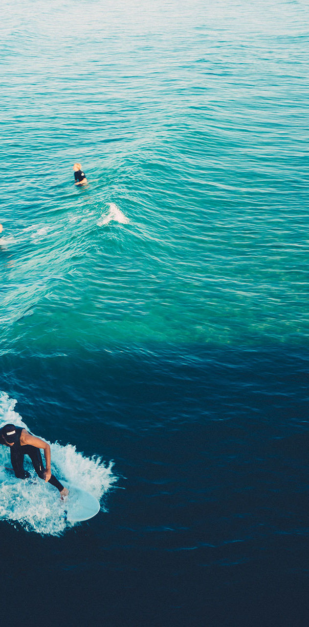 Vegan surf wax new arrivals