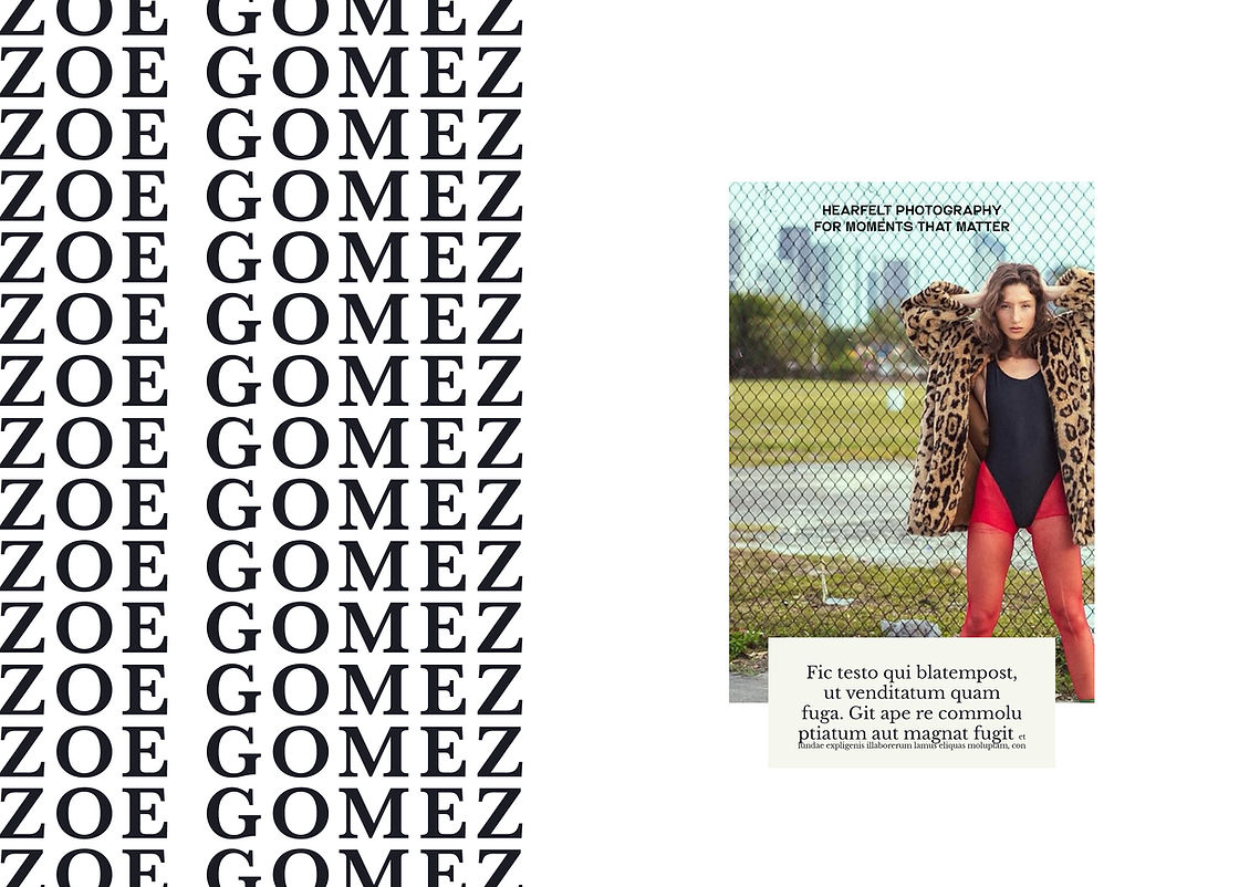 ZGP_web8.jpg