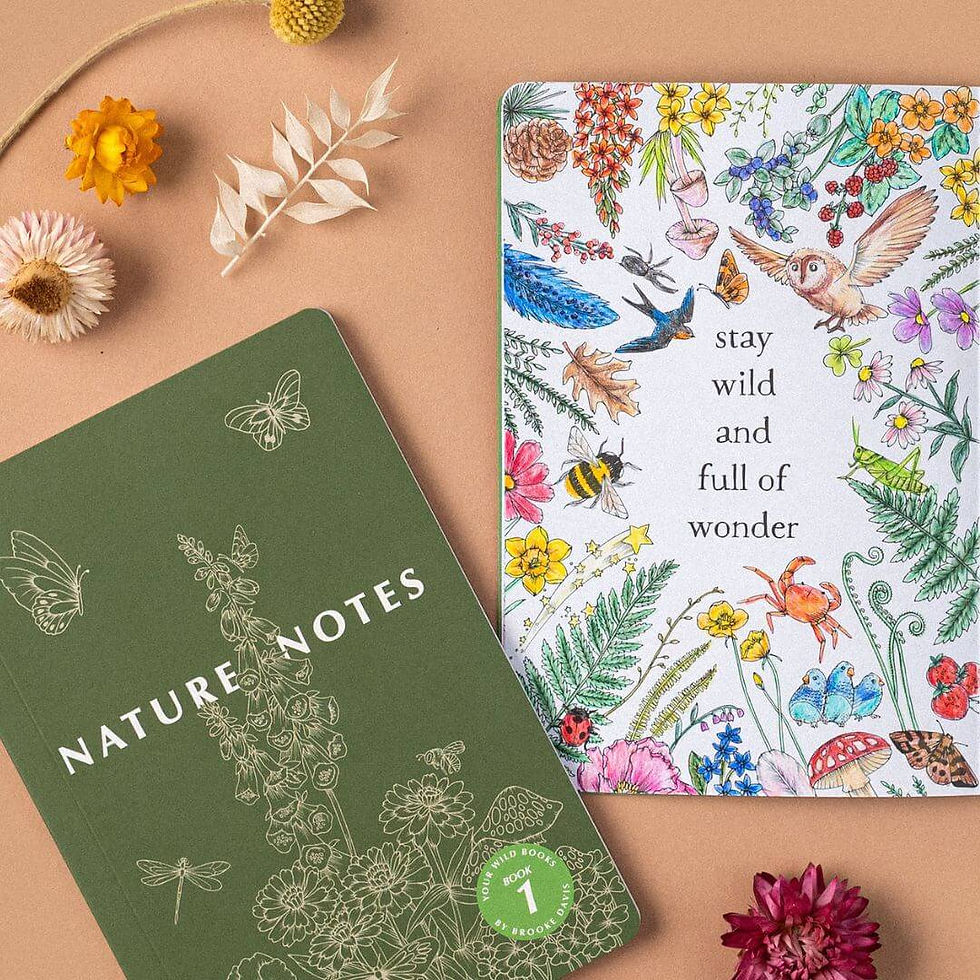 Thumbnail: Nature Notes Book 1 (Green)