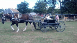 image (2).jpeg