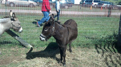 image (4).jpeg