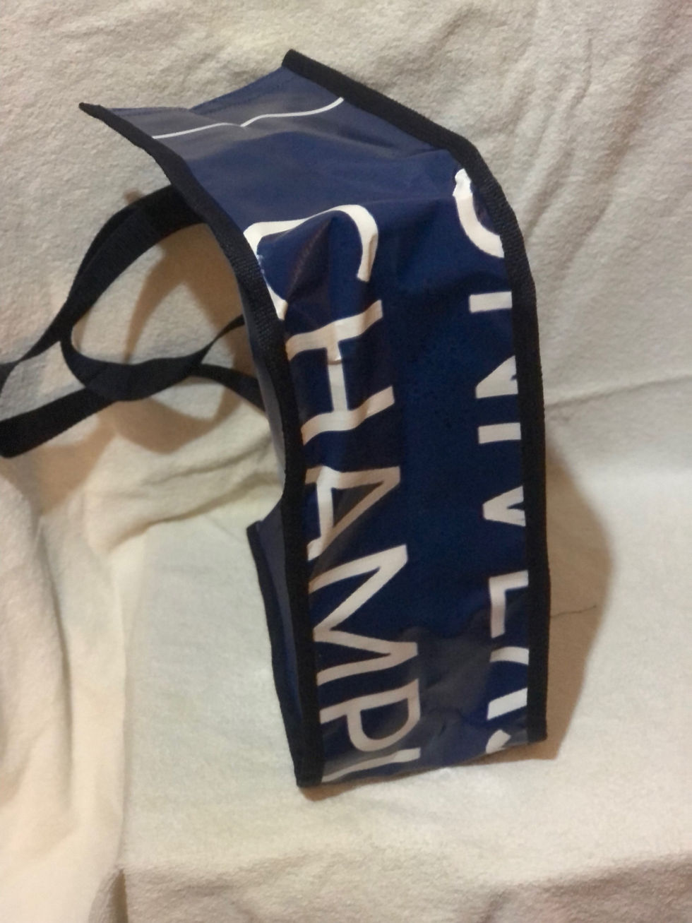 Thumbnail: Open tote made from Lake Placid event banners