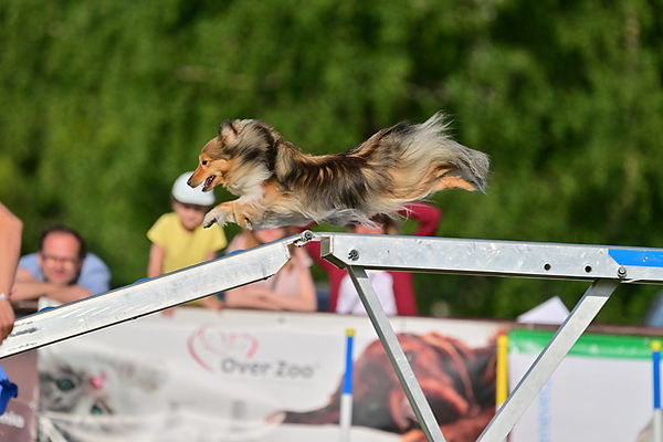 mini_DSC_8044.JPG