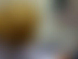 Sikh Community In US Pledges To Work For Development Of Punjab