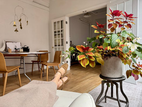 What to Expect From Spravato Treatment in NYC: Before, During, and After Your Session