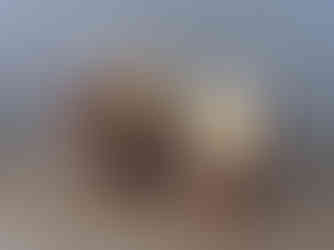 ベイクウェルタルト