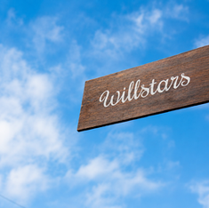 WILLSTARS看板