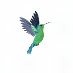 Flying Bird Animation.gif