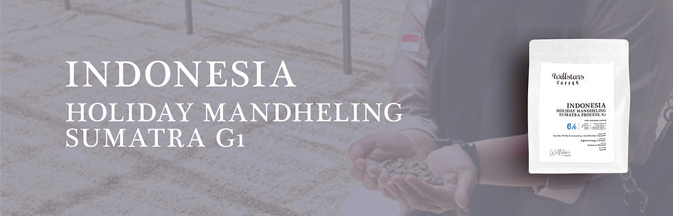 アセット 9_4x-100_edited.jpg