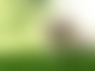Bildungsurlaub diesmal Photoshop
