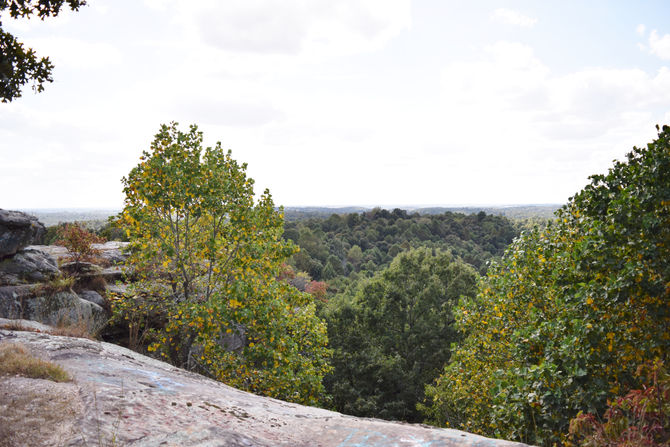 A View from the Heights