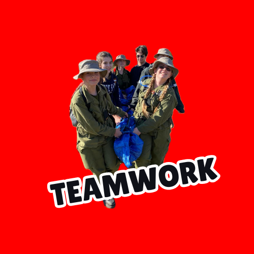 Team work