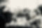 IMG_0999.jpeg