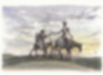 QUIJOTE