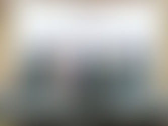 Sistema FIEPA promove II Ciclo Formativo de Letramento Racial