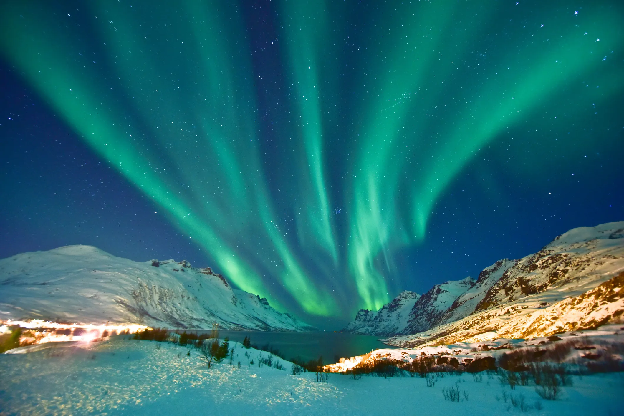 aurora 3.webp