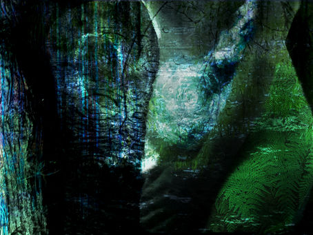 The Poem of the Earth