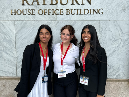 The Criminal Law & Trial Internship at Congress!