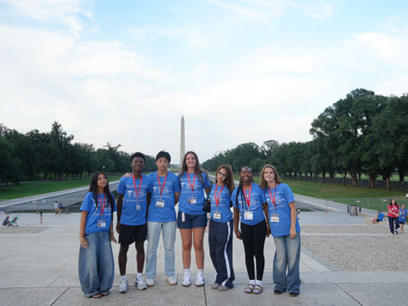 Monuments, Memes, & Medicine: The Insider Scoop on the Advanced Medical & Public Health Internship