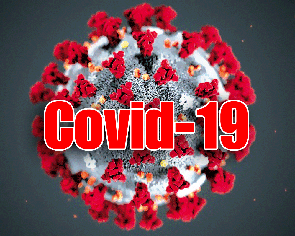 logo-covid-19-1.gif