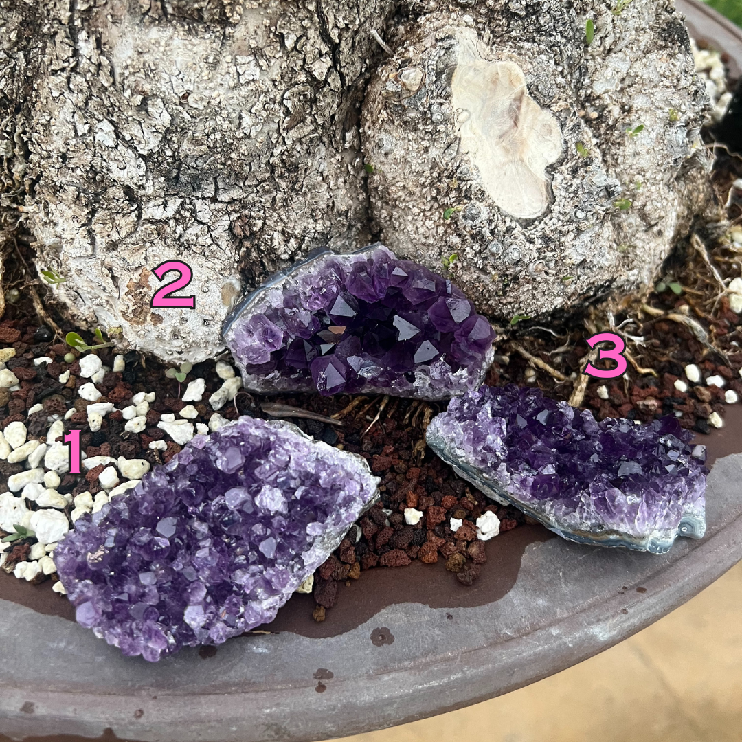 Grape Cluster Amethyst