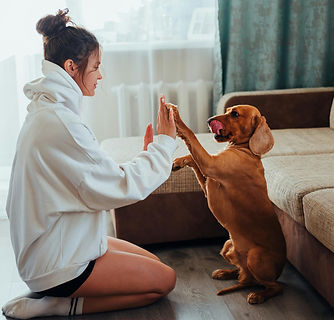 pexels-babydov-7788664.jpg