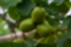 _DSC0101