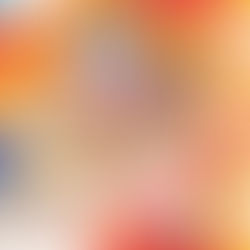  🎍 福袋市2026 🎍