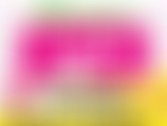 ✨️12月12日(金)パティズ北戸田店リニューアルオープン!!🎉