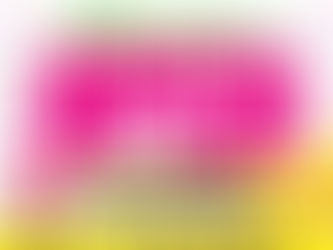 ✨️３月６日（金）Dearパティズイオンセントラルスクエア静岡店リニューアルオープン！！🎉