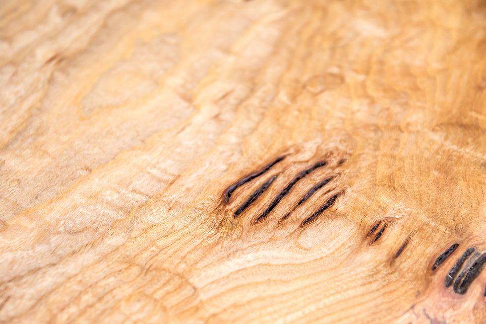 サムネイル： watabewoodworks-castoraralia-liveedge-セン一枚板