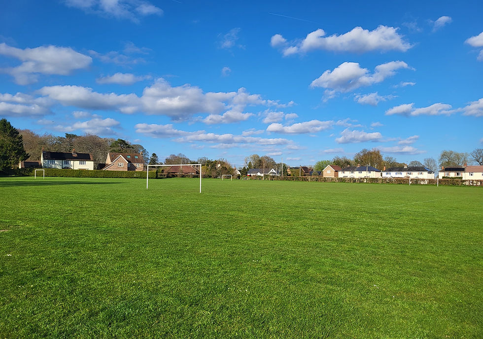 Barn Meadow