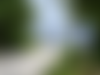 Survey - How Do You Use RI's Shore?