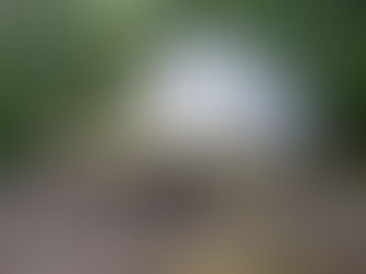 Town Council Meeting Report, July 8, North Camp Update