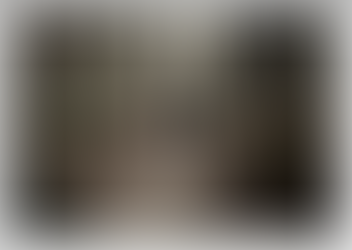 Charlestown Land Trust Summer Party