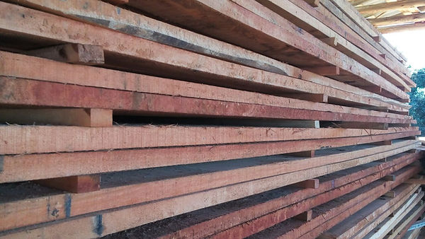 WhatsApp Image 2017-04-27 at 14.14.36 (2