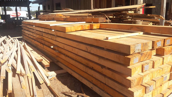 WhatsApp Image 2018-08-06 at 08.30.30 (1