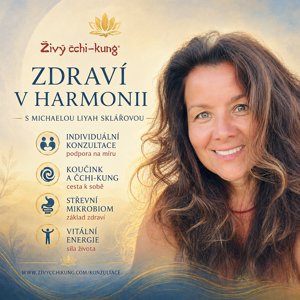 Konzultace: Zdraví v harmonii - individuální sezení