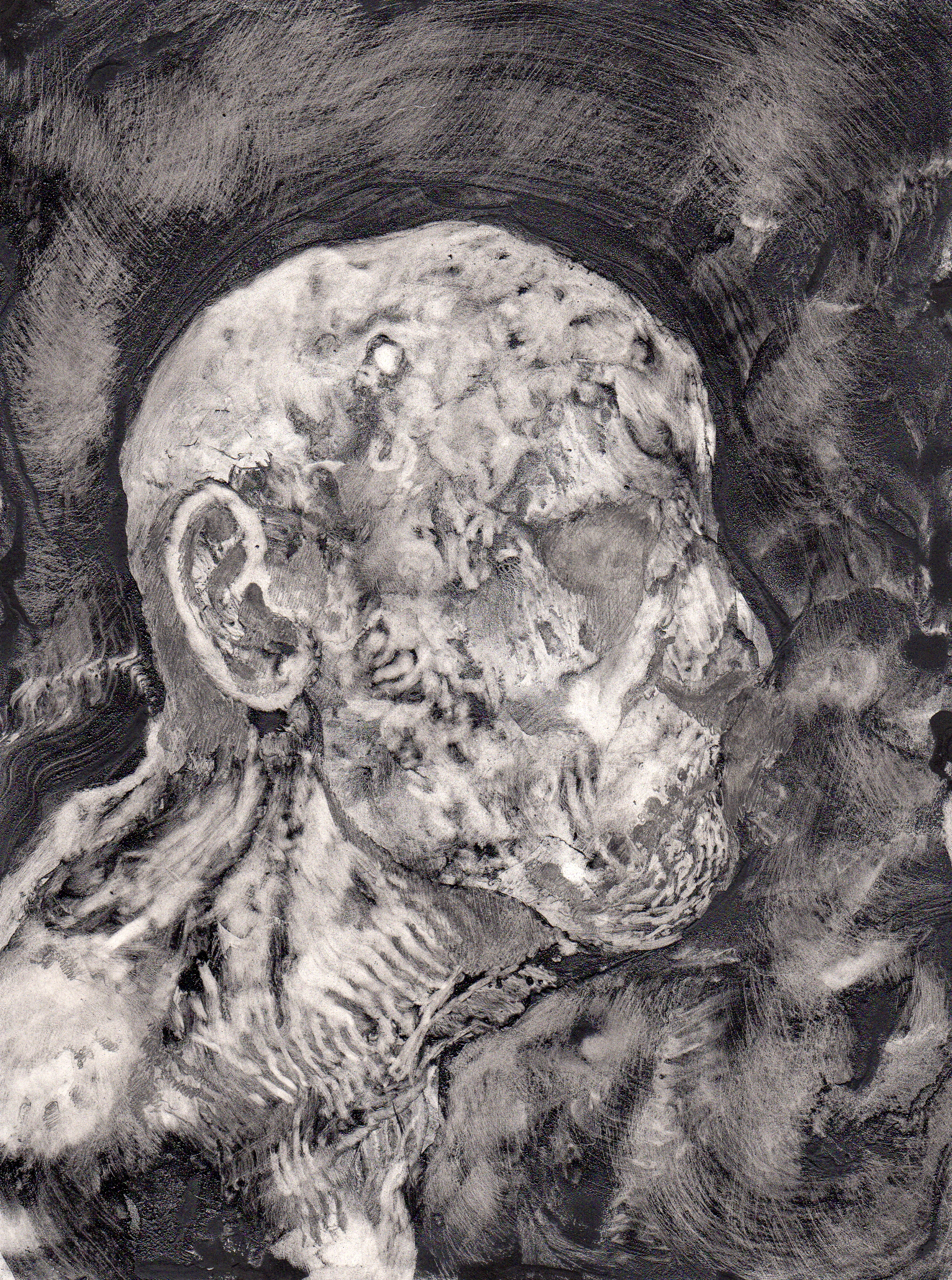 El visitante 5 (carne)