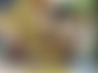 休みの日はBD鑑賞
