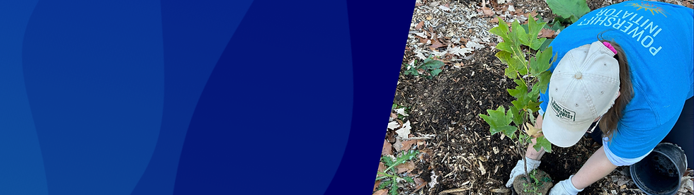 restoration work banner.png