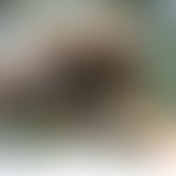 Adaptation In Action