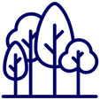 PP (2).png