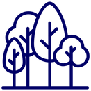 PP (2).png