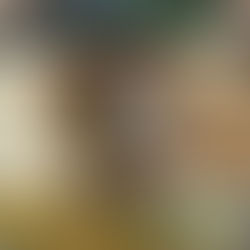 Adaptation in Action: Kinderschema… the good, the bad, the ugly.