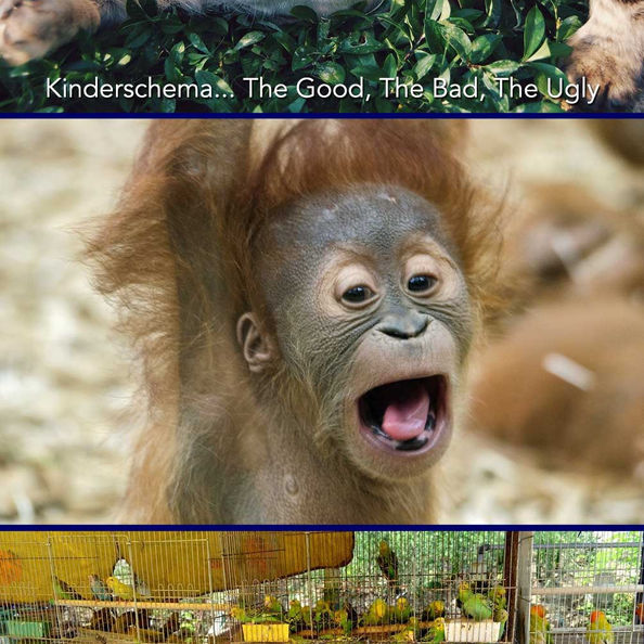 Adaptation in Action: Kinderschema… the good, the bad, the ugly.