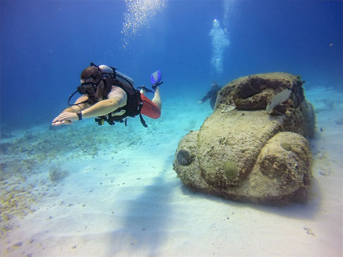 Scuba Diver in MUSA