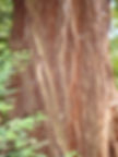 DSC00843.JPG