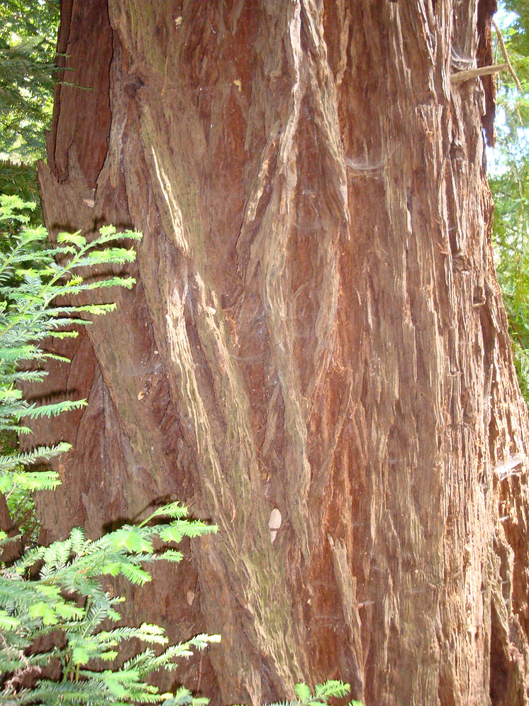DSC00843.JPG