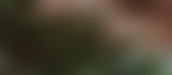 Wild Feminine Ground